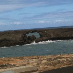 Meet your Posher, Sylvia